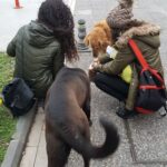 IMG-20180225-WA0005