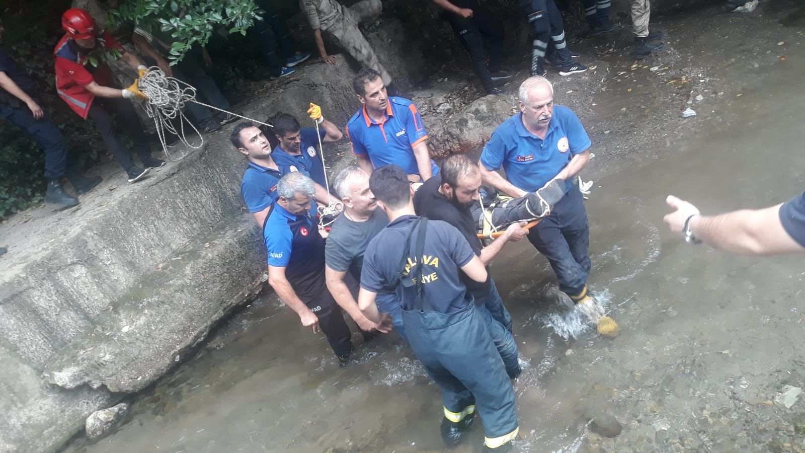 a6896be1-3ad2-41a9-9f87-62d95ada141a