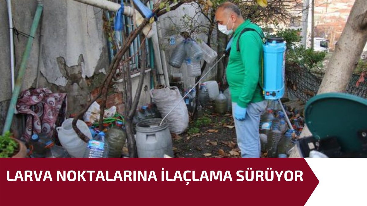 LARVA NOKTALARINA İLAÇLAMA SÜRÜYOR