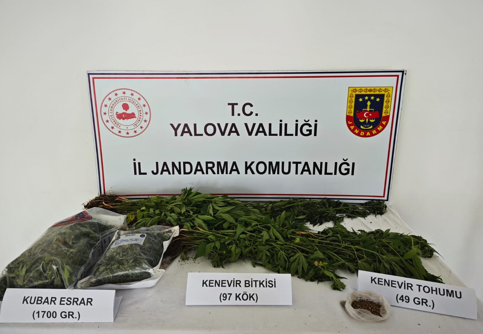 KÖYDEKİ VİLLASINDA KENEVİR YETİŞTİRDİ, KISKIVRAK YAKALANDI