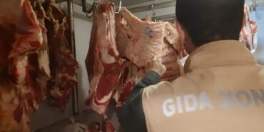 47e32bd0-3dd8-4925-8fbc-9378c8c168b1