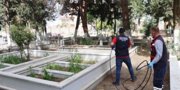 MEZARLIK TEMİZLİK İLAÇLAMA (1)