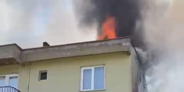 WhatsApp Image 2024-07-29 at 14.15.08