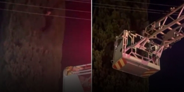 WhatsApp Image 2024-09-24 at 12.01.41