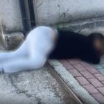 19682050-a322-4cf7-84ba-ed7f9f0fb8f7